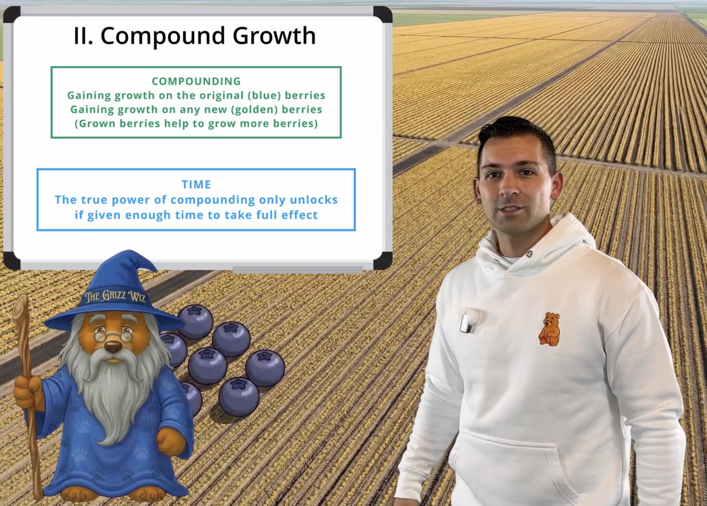 A still frame from a Cash For Cubs video lesson, Mr. Brian teaching alongside Franklin's Grizz Wiz character